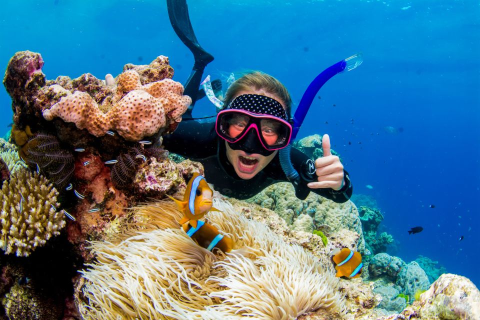 Cairns: Great Barrier Reef Snorkeling or Dive Tour and Lunch - Inclusions