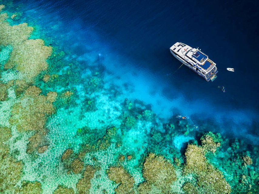 Cairns: Great Barrier Reef Snorkeling or Dive Tour and Lunch - Customer Reviews