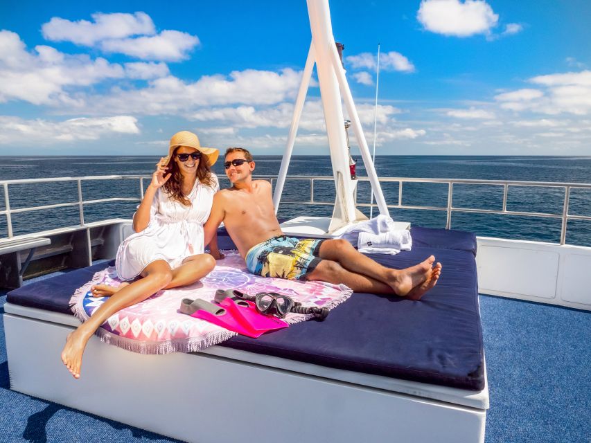 Cairns: Great Barrier Reef Snorkeling or Dive Tour and Lunch - Frequently Asked Questions