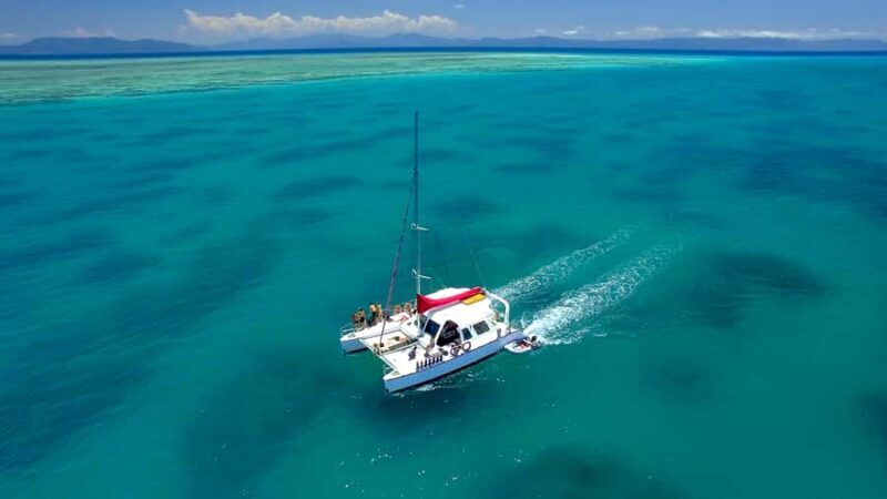 Cairns: Great Barrier Reef Snorkeling Tour with Lunch - Key Points