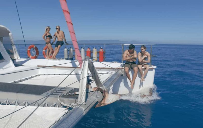 Cairns: Great Barrier Reef Snorkeling Tour with Lunch - An Honest Look at the Cairns Reef Snorkeling Tour