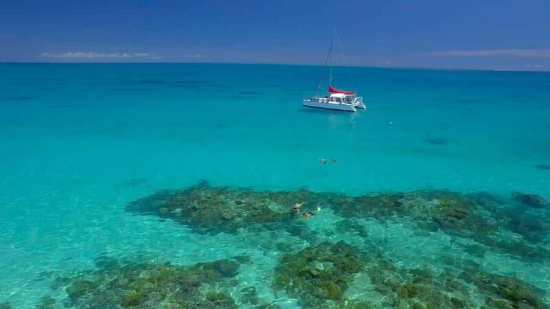 Cairns: Great Barrier Reef Snorkeling Tour with Lunch - Practical Tips and Considerations