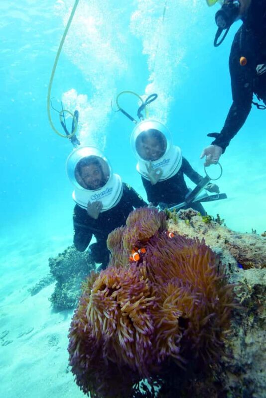 Cairns: Green Island and Seawalker Helmet Dive Combo - Who Should Consider This Tour?