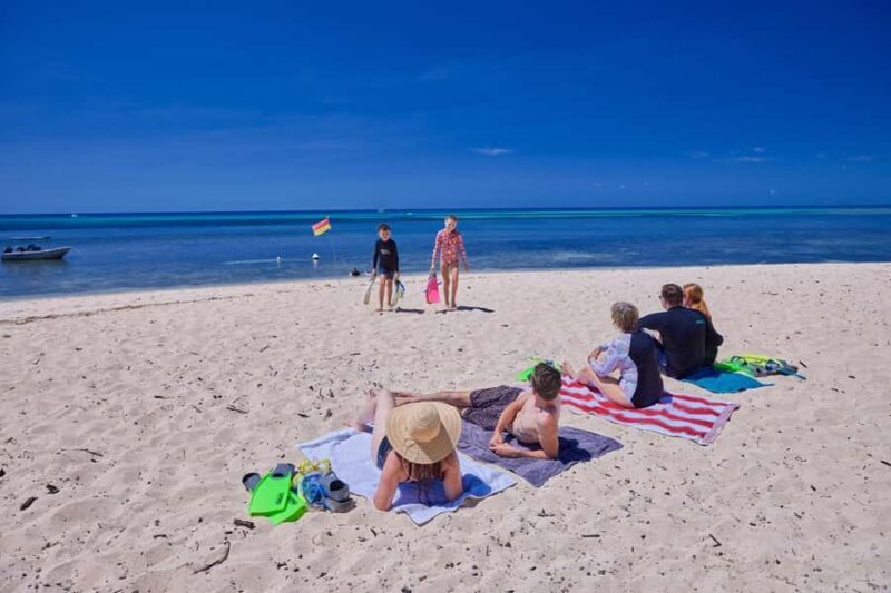Cairns: Green Island Full-Day Tour with Diving - The Itinerary in Detail