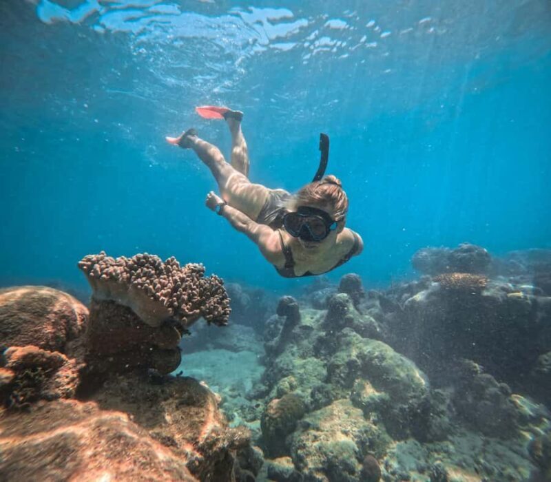 Cairns: Green Island Full-Day Tour with Diving - Who Is This Tour Best For?