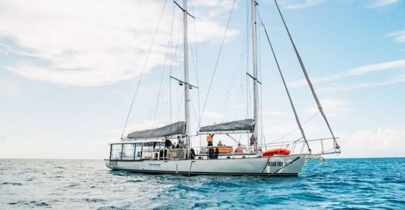 Cairns: Green Island & Great Barrier Reef Sailing Tour - The Sum Up