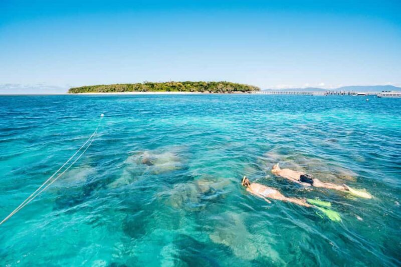 Cairns: Green Island Snorkelling or Glass Bottom Boat - An Introduction to the Green Island Experience