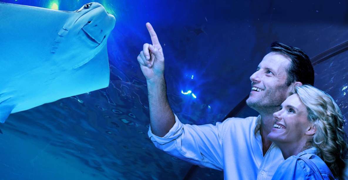 Cairns: Guided Twilight Tour With 3-Course Dinner - Customer Reviews