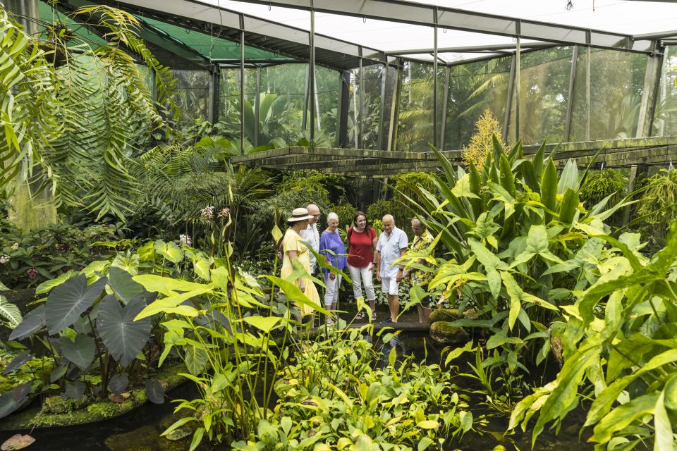 Cairns: Half-Day City Sightseeing Tour - Key Points