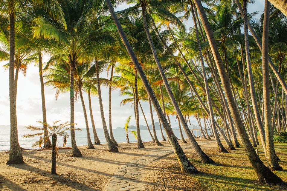 Cairns: Half-Day City Sightseeing Tour - Tour Highlights