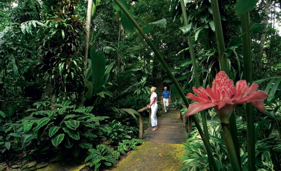 Cairns: Half-Day City Sightseeing Tour - Customer Testimonials