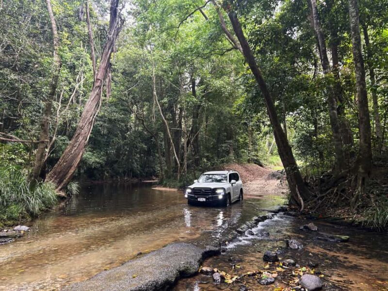 Cairns: Half-Day Premium 4WD Rainforest & Waterfall Tour - Key Points