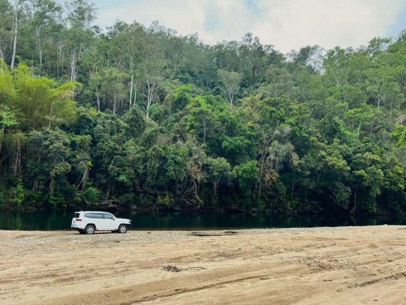 Cairns: Half-Day Premium 4WD Rainforest & Waterfall Tour - In Summary