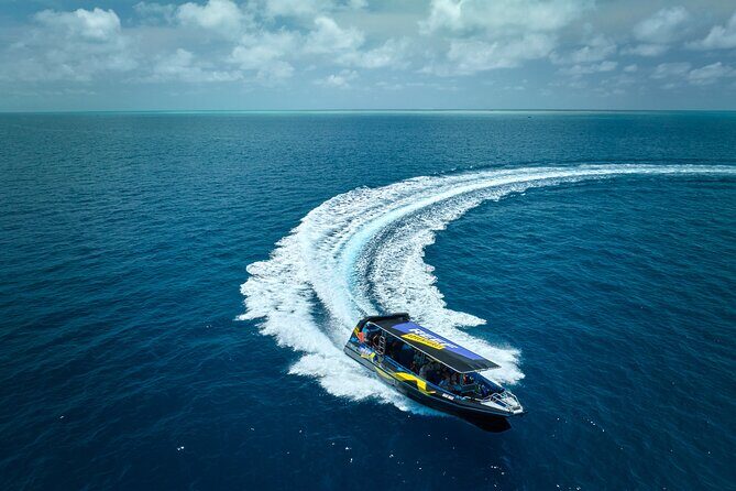 Cairns Half Day Tour a Great Barrier Reef Snorkeling Experience - Key Points