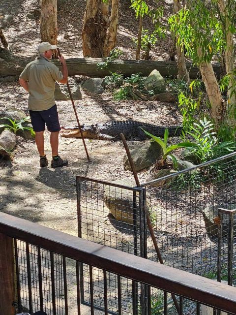 Cairns: Hartleys Crocodile Adventures Transfers and Return - Key Points