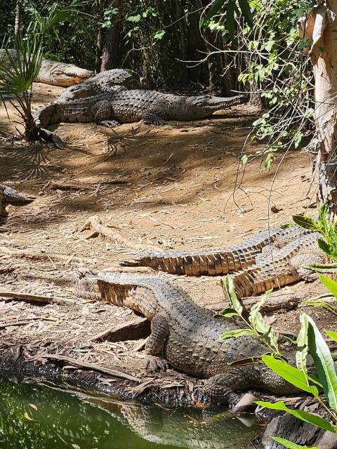 Cairns: Hartleys Crocodile Adventures Transfers and Return - Customer Review