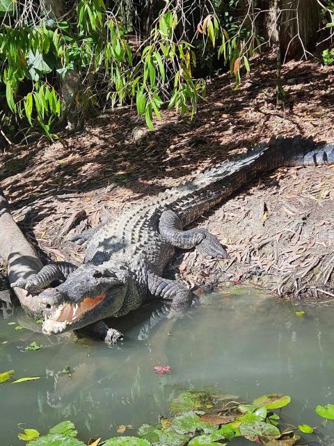 Cairns: Hartleys Crocodile Adventures Transfers and Return - Frequently Asked Questions