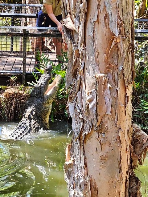 Cairns: Hartleys Crocodile Adventures Transfers and Return - Recap