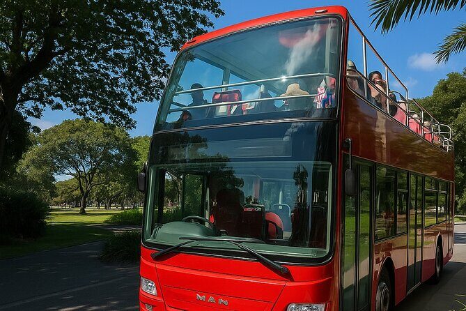 Cairns Hop on Hop Off - A Closer Look at the Cairns Hop on Hop Off Experience
