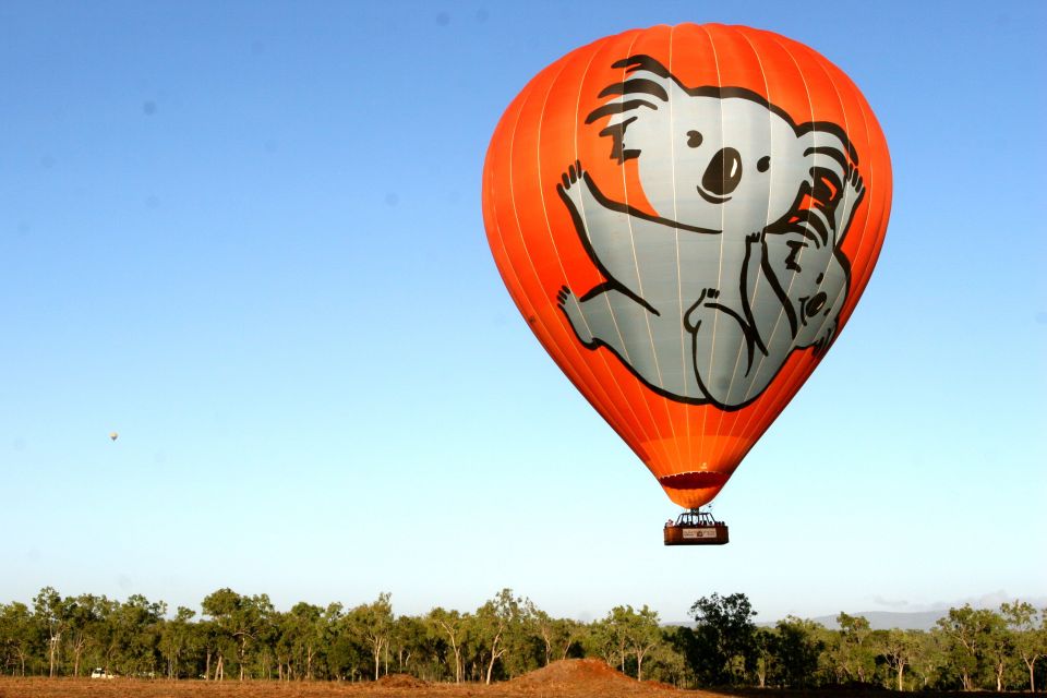 Cairns: Hot Air Balloon Flight With Transfers - Key Points