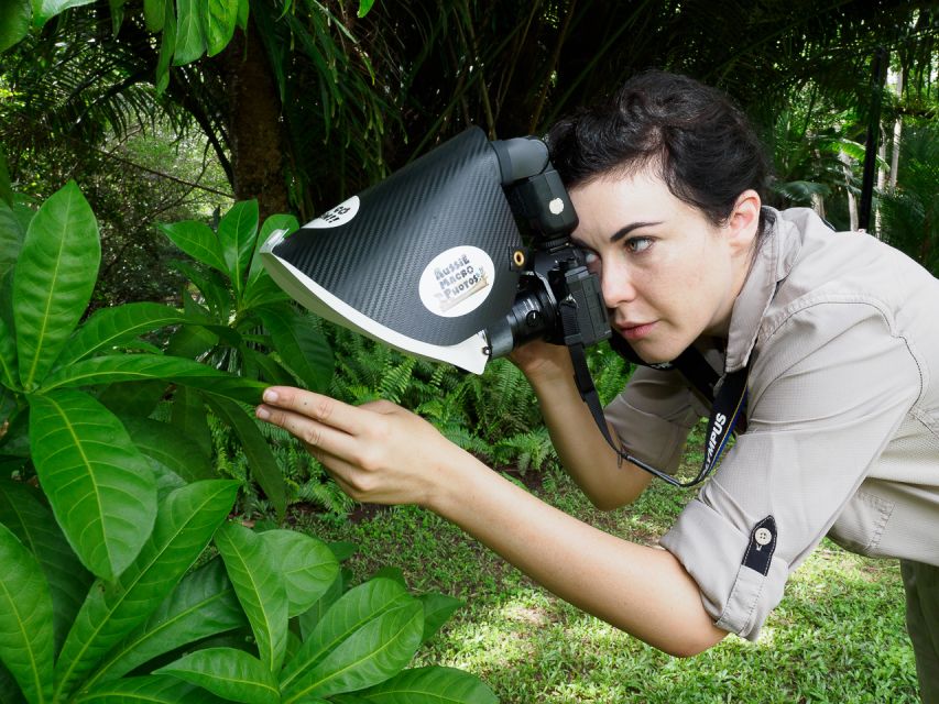 Cairns: Insect Photography Tour of Cairns Botanic Gardens - Expert Guides