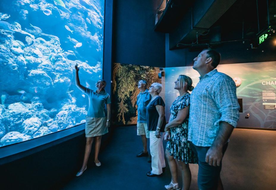 Cairns: Night at the Aquarium Guided Tour - Booking Information