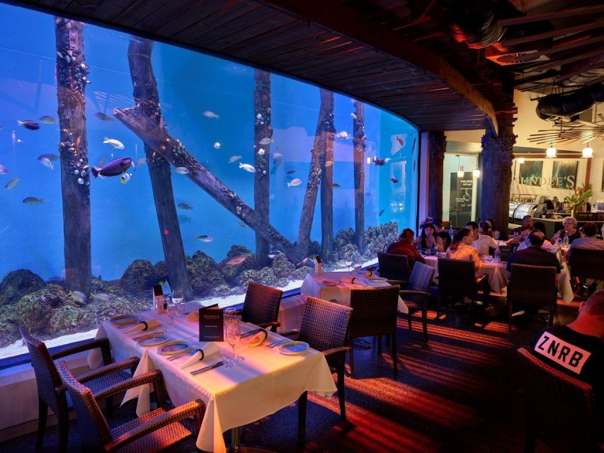 Cairns: Night at the Aquarium Guided Tour - Experience Highlights