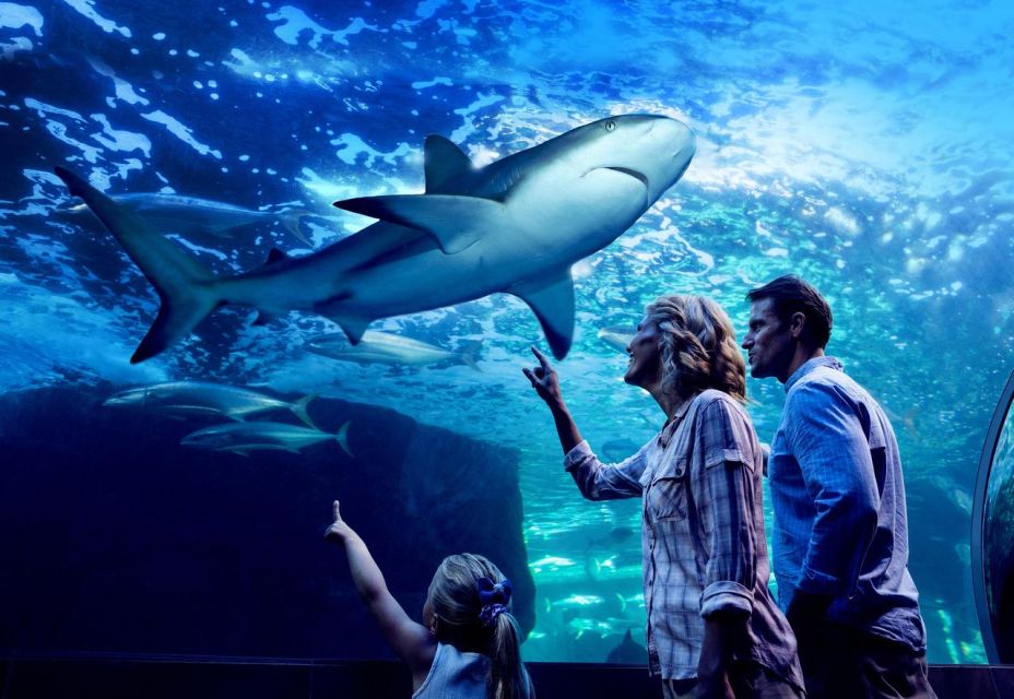Cairns: Night at the Aquarium Guided Tour - Frequently Asked Questions