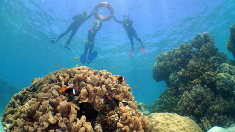 Cairns: Ocean Spirit Great Barrier Reef Full Day Tour - Final Thoughts: Is This Tour Right for You?