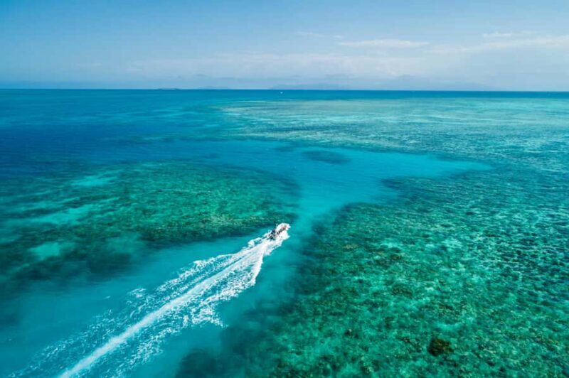 Cairns: Outer and Coral Cay Snorkel and Dive Cruise - Key Points