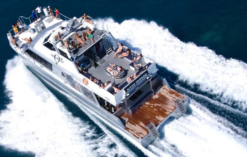 Cairns: Outer and Coral Cay Snorkel and Dive Cruise - Who Would This Tour Suit?