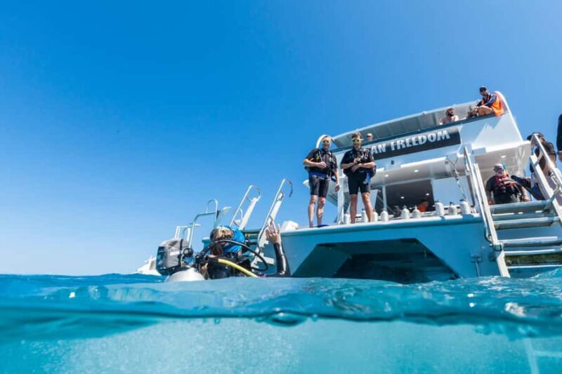 Cairns: Outer and Coral Cay Snorkel and Dive Cruise - Frequently Asked Questions