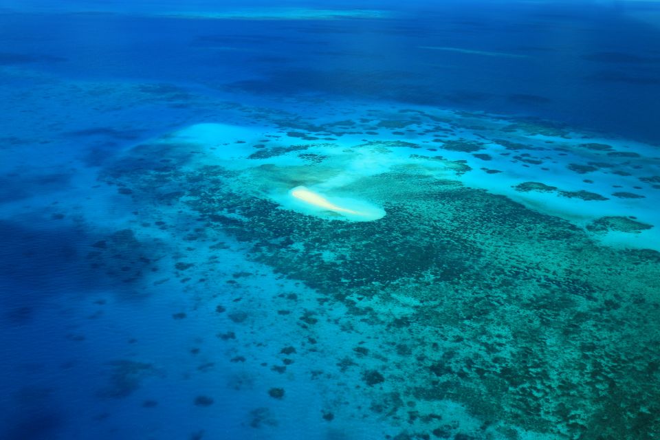 Cairns: Outer Edges of The Great Barrier Reef Scenic Flight - Group Size and Pricing Information
