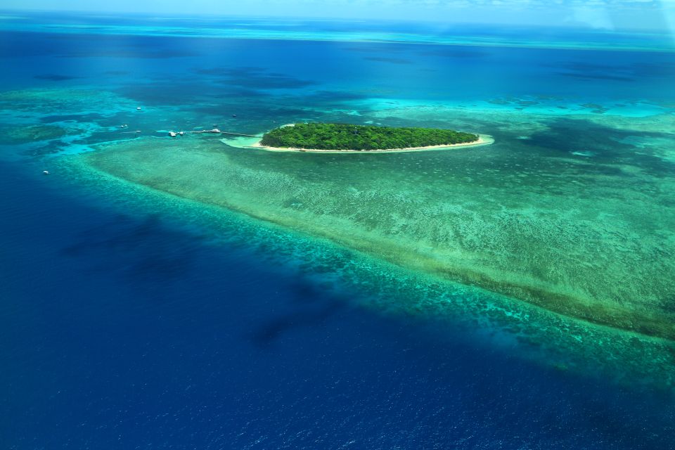Cairns: Outer Edges of The Great Barrier Reef Scenic Flight - Booking Tips and Customer Reviews