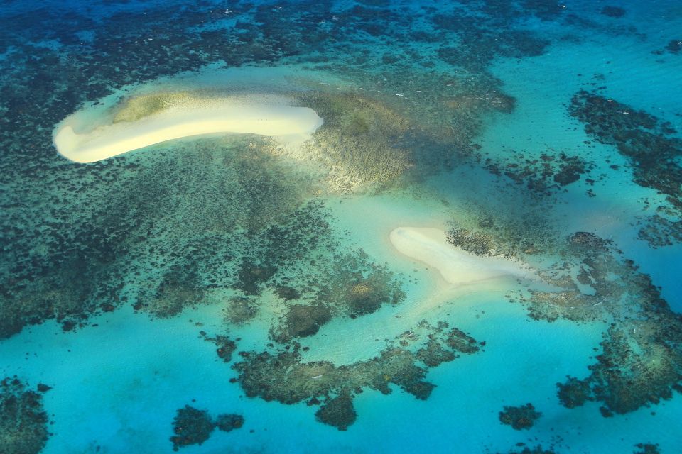Cairns: Outer Edges of The Great Barrier Reef Scenic Flight - Recap