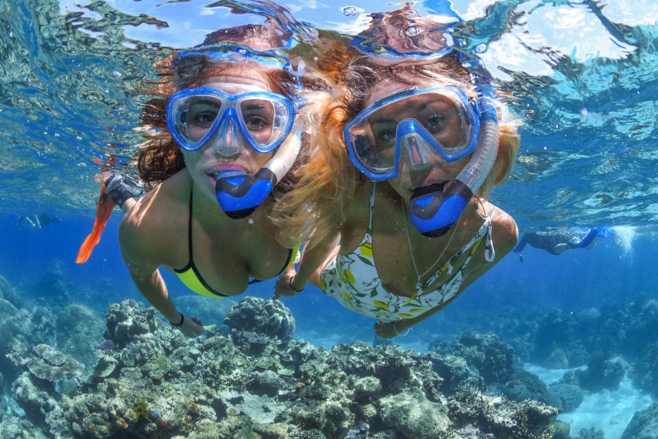Cairns: Outer Great Barrier Reef Full-Day Tour With Lunch - Key Points