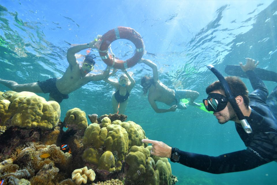 Cairns: Outer Great Barrier Reef Pontoon With Activities - Key Points