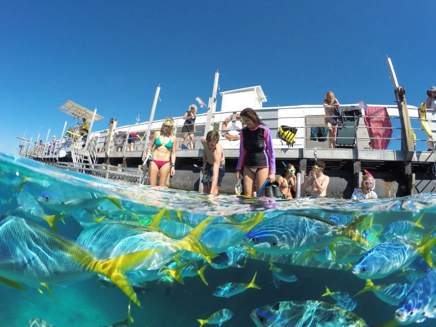 Cairns: Outer Great Barrier Reef Pontoon With Activities - Booking Information