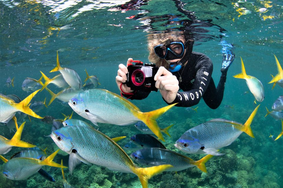 Cairns: Outer Great Barrier Reef Pontoon With Activities - Directions
