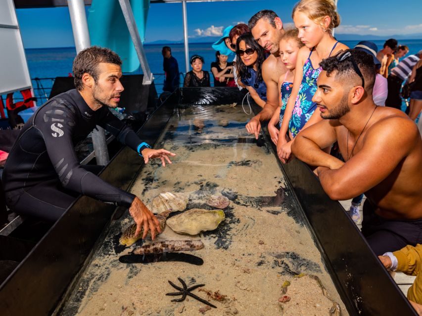 Cairns: Outer Great Barrier Reef Pontoon With Activities - Frequently Asked Questions