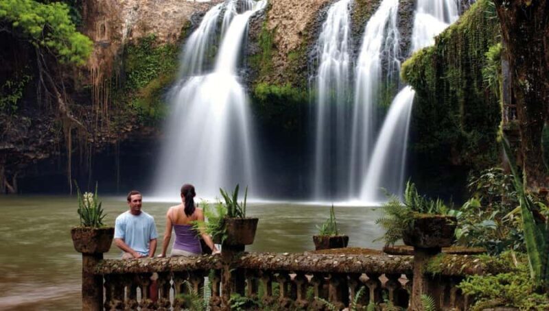 Cairns: Paronella Park Rainforest Full-Day Tour with Dinner - Return to Cairns