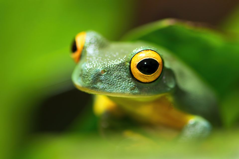 Cairns: Pre-Opening Guided Tour of the Cairns Aquarium - Important Information