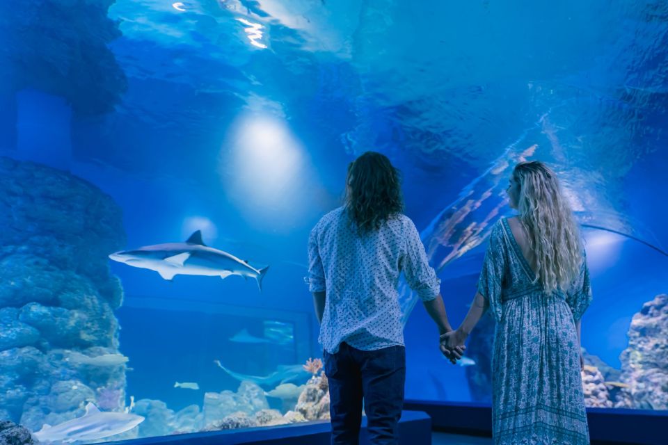 Cairns: Pre-Opening Guided Tour of the Cairns Aquarium - Background