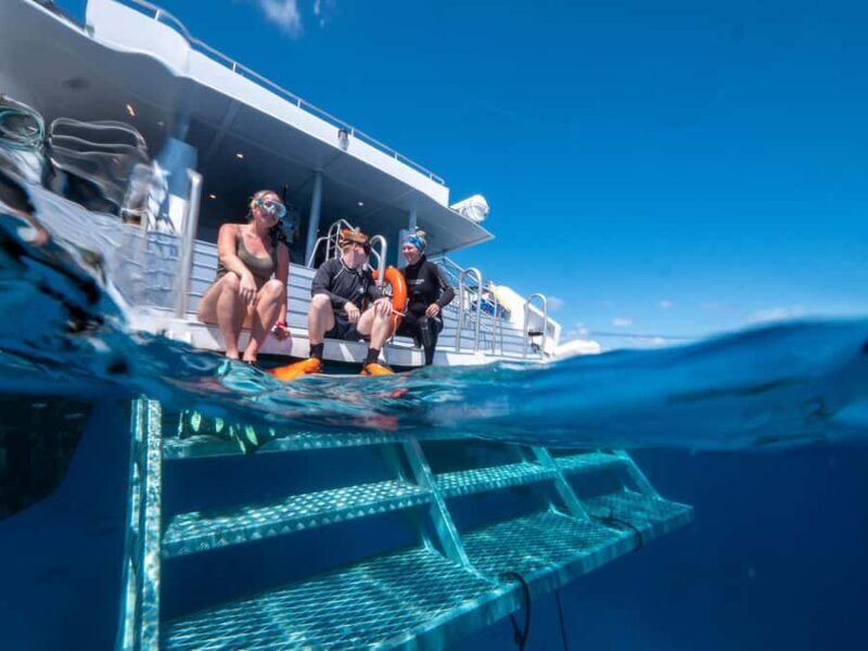 Cairns: Premium Snorkelling and Diving Reef Day Trip - Food and Comfort on Board