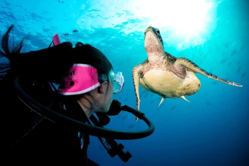 Cairns: Pro Dive 5 Day Learn to Dive Great Barrier Reef - The Value of This Course