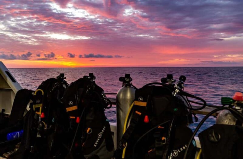 Cairns: Pro Dive 5 Day Learn to Dive Great Barrier Reef - FAQs