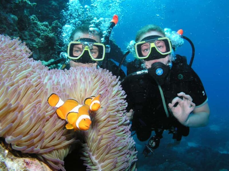 Cairns: Pro Dive Great Barrier Reef 3 Day/2 Night Dive Trip - Key Points: