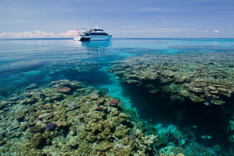 Cairns: Pro Dive Great Barrier Reef 3 Day/2 Night Dive Trip - What’s Included and What to Bring