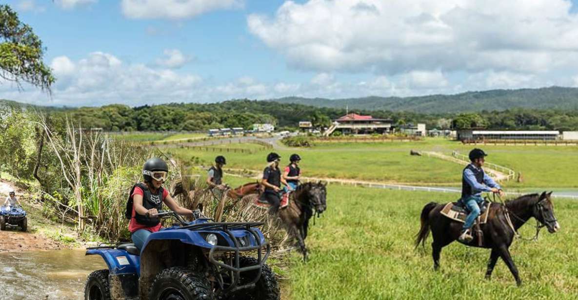 Cairns: Skyrail, Quad Biking, Zoo, and Kuranda Half-Day - Key Points