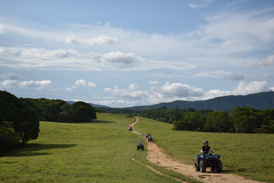 Cairns: Skyrail, Quad Biking, Zoo, and Kuranda Half-Day - Itinerary